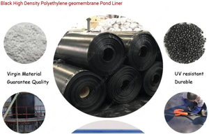 Geomembran HDPE 1,0 mm untuk kedap air