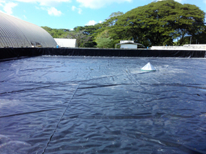 40 mils Membran HDPE Akuakultur