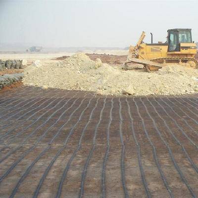 Geogrid Plastik Biaxial Polypropylene PP untuk Perlindungan Lereng Dinding