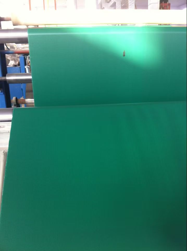 Geomembran LDPE 0,25mm untuk penghalang lembab