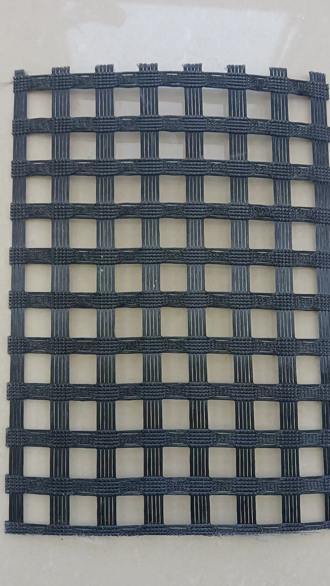 Geogrid hewan peliharaan 120-120 kN